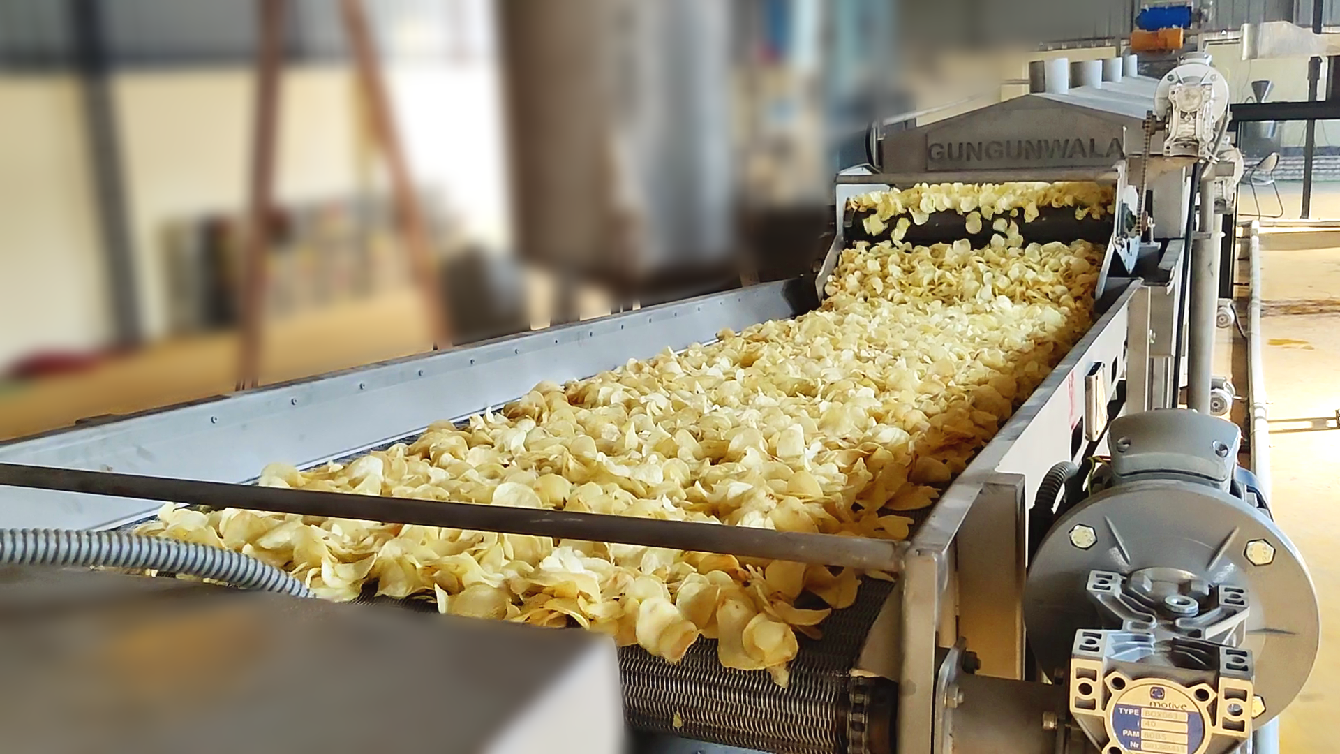 Semi Automatic Chips Line
